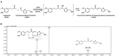 Formation and Identification of a 5-(Hydroxymethyl)-2-Furfural-Zingerone Condensate and Its Cytotoxicity in Caco-2 Cells
